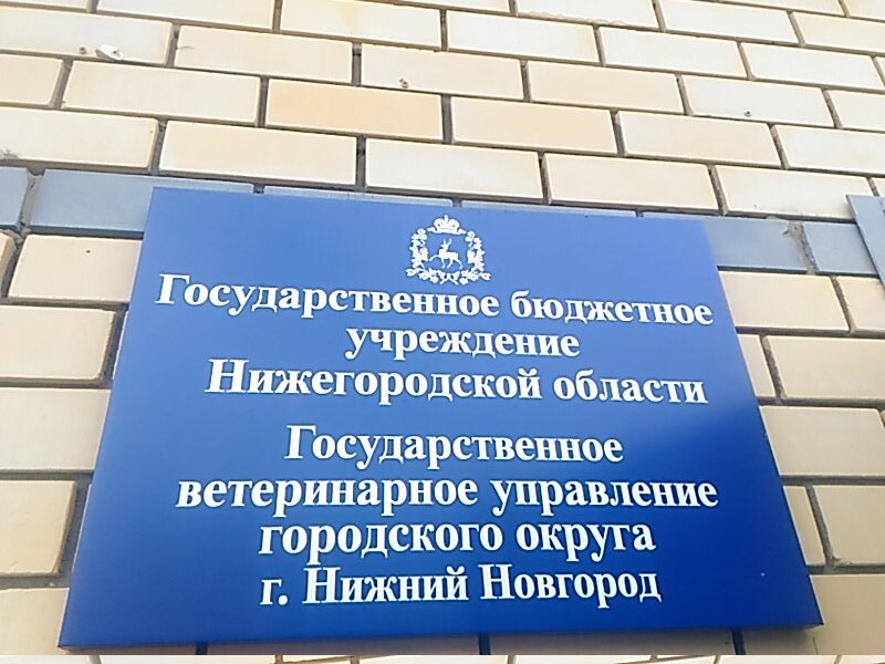 Government ministries, services Gosudarstvennoye veterinarnoye upravleniye, Nizhny Novgorod, photo