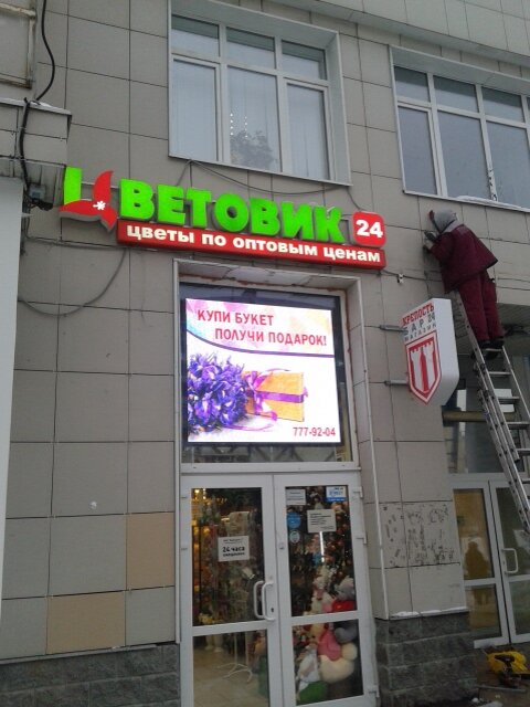 Магазин Цветовик Спб Каталог Товаров