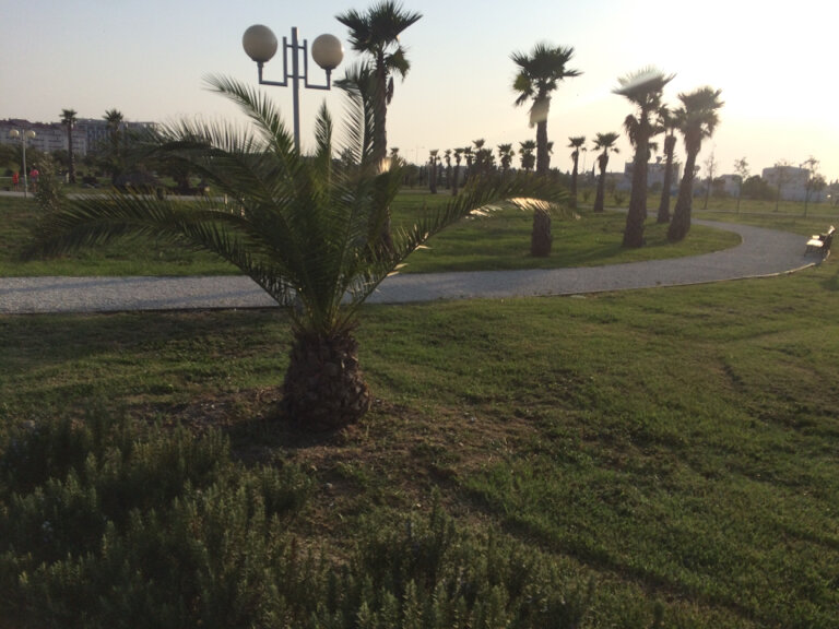 الغابات Natural ornithological park in the Imeretinskaya lowland ، كراسنودار كراي، صورة