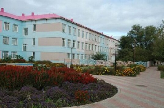 School Samarsky institut otkrytogo obrazovaniya Predstavitelstvo, Samara Oblast, photo