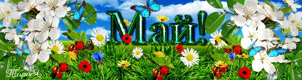 https://avatars.mds.yandex.net/get-altay/813485/2a0000015eb43bde27451f081471e6a7f73e/XXXL
