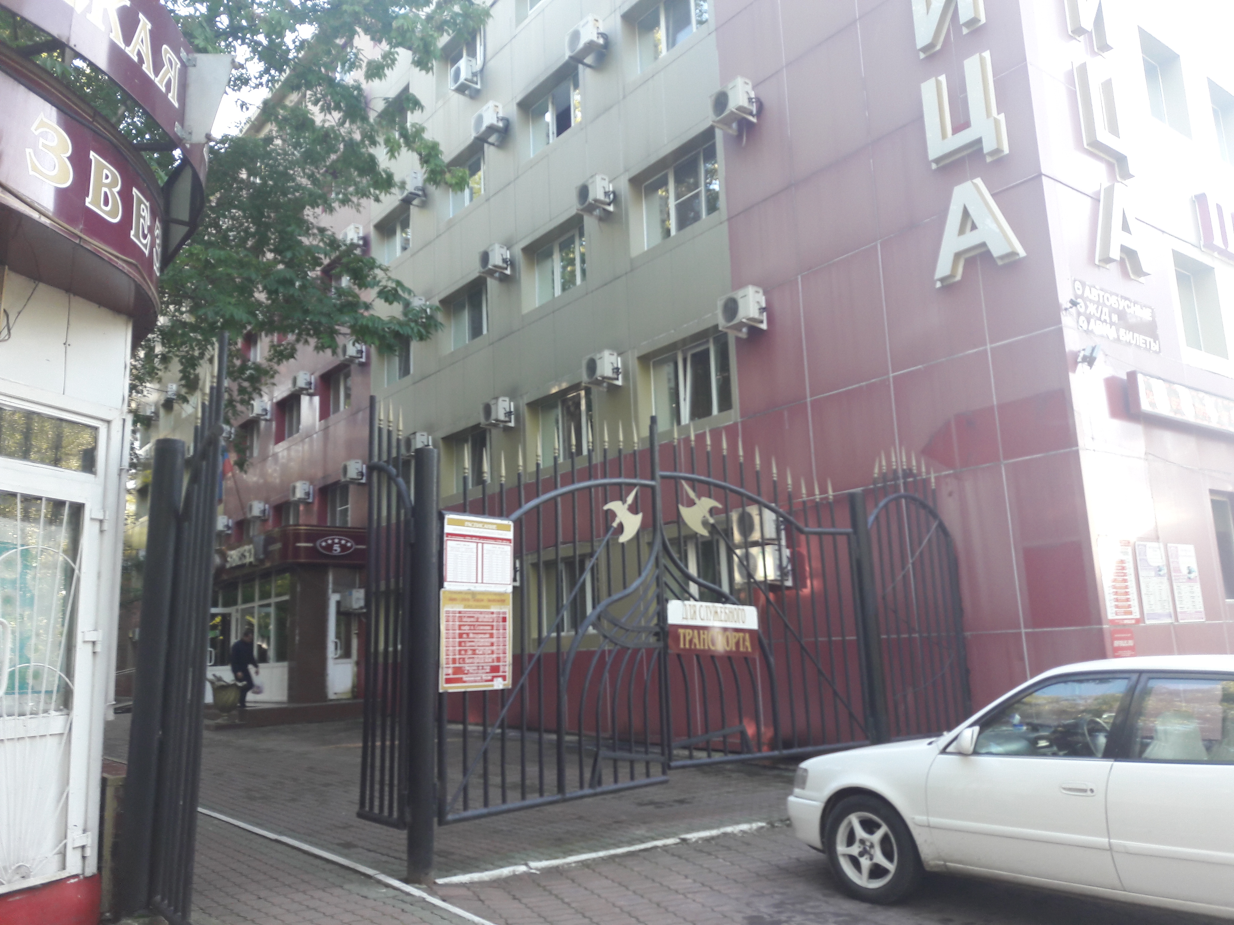 Фото Звёздная