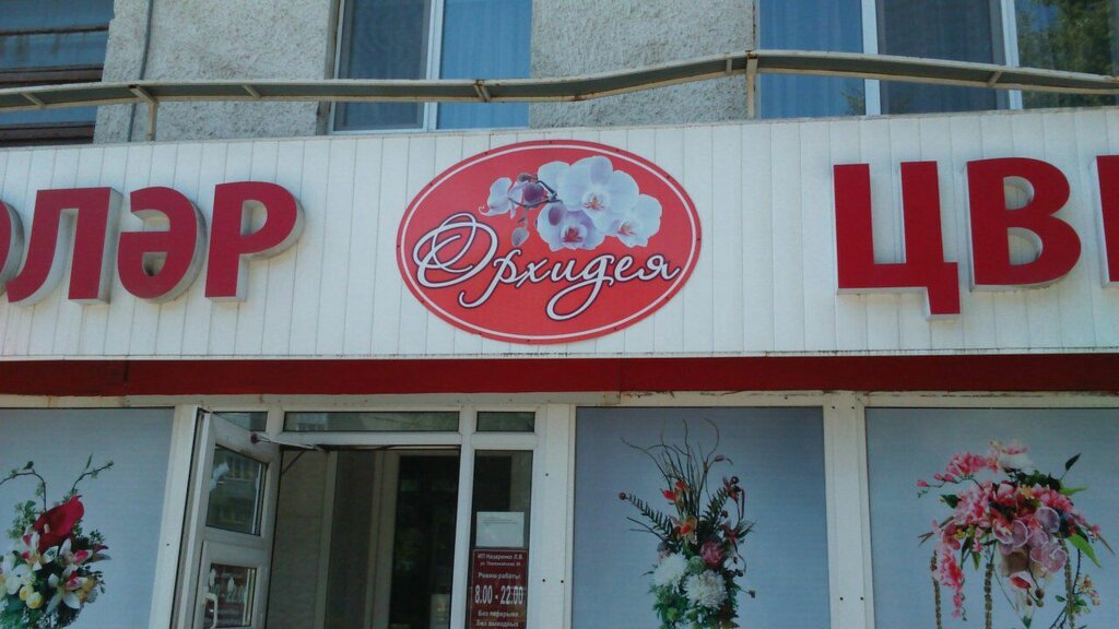 Красная Орхидея Магазин