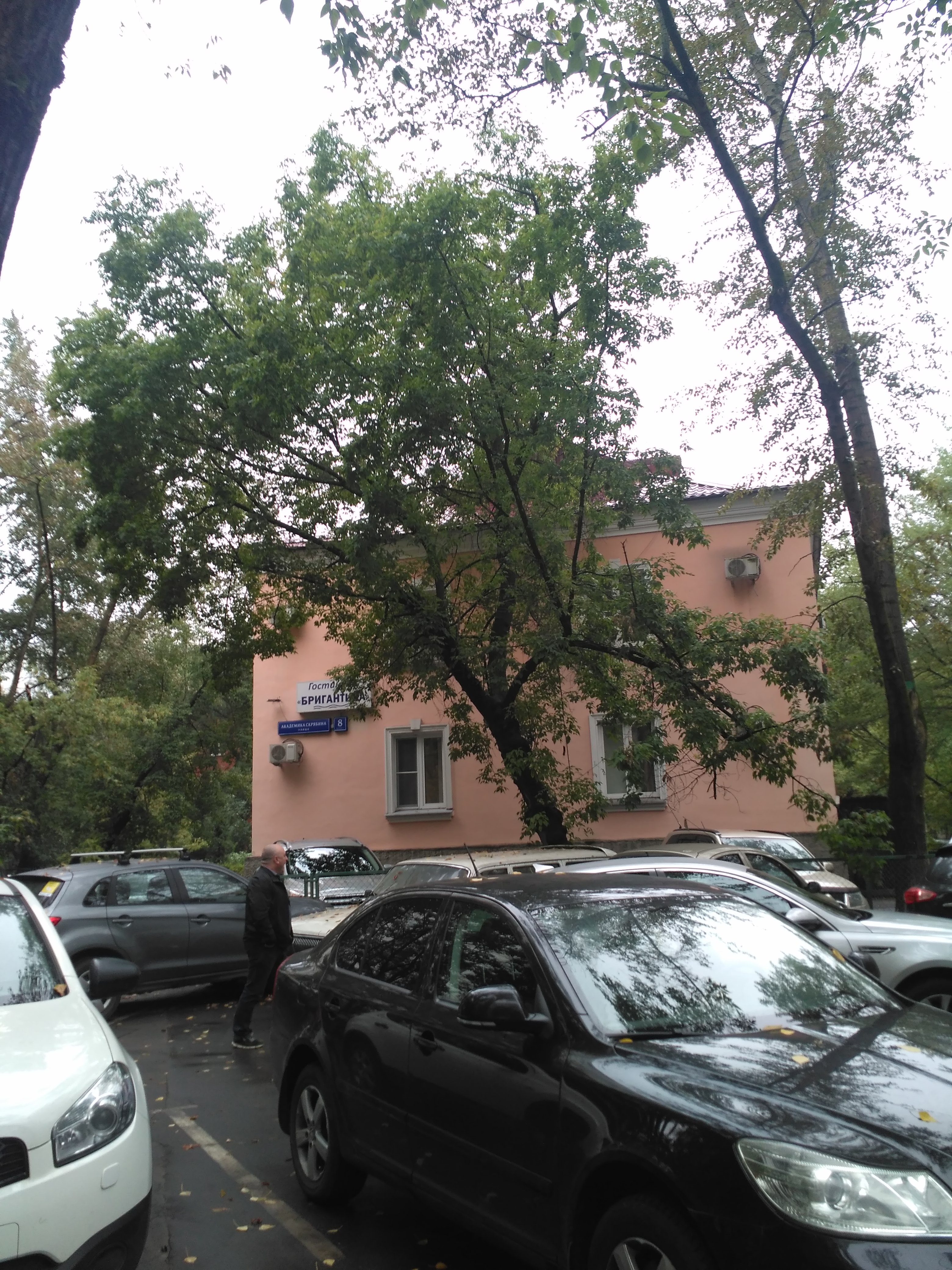 Фото Бригантина