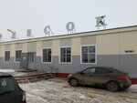Lesok, magazin, Safronova (posyolok Novosyolki, Molodyozhnaya ulitsa, 2), grocery