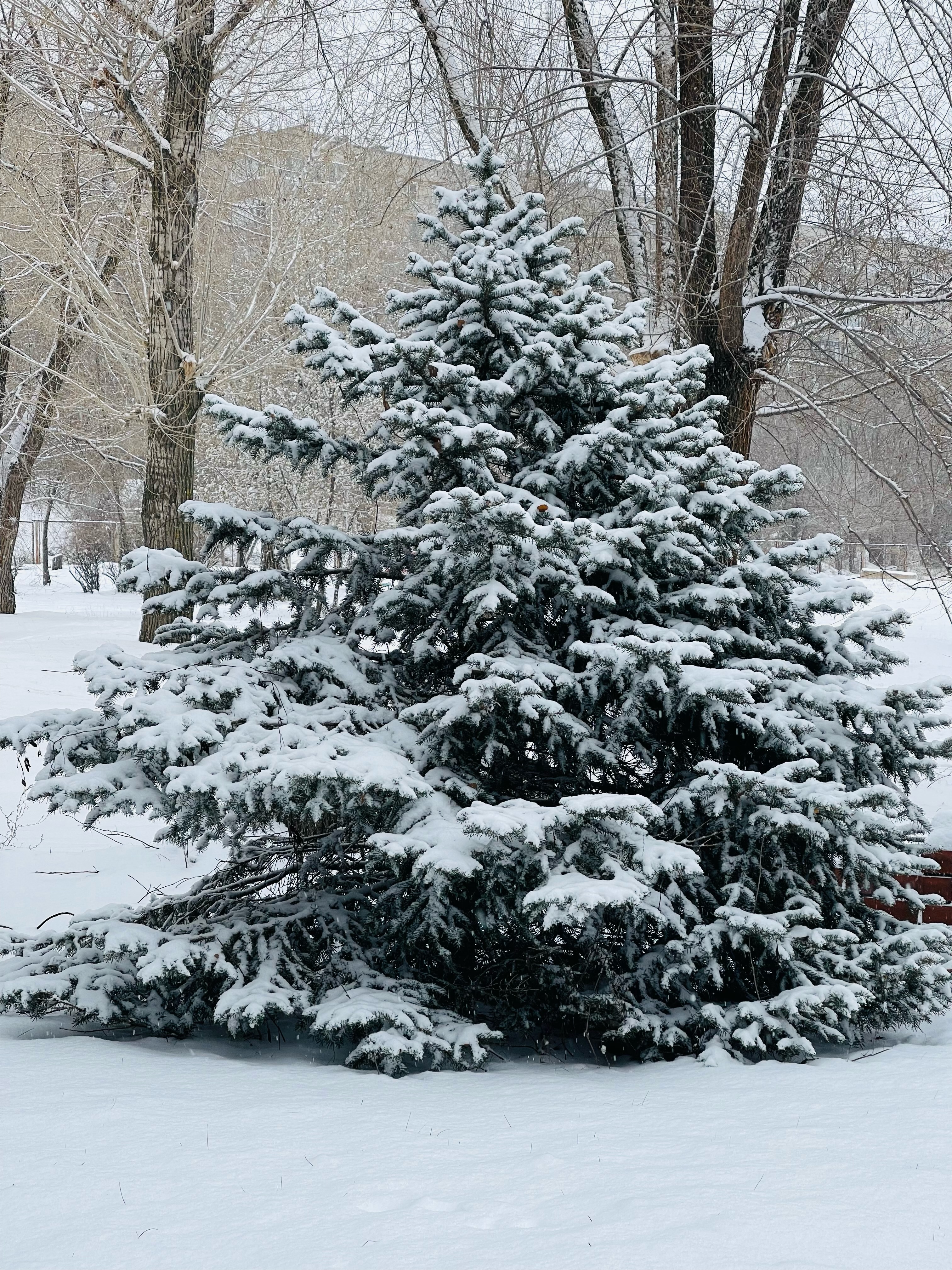 Фото Волжская Здравница