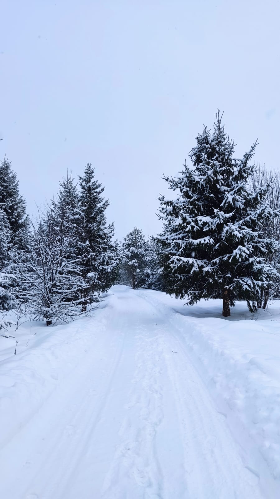Фото Кузьмадино