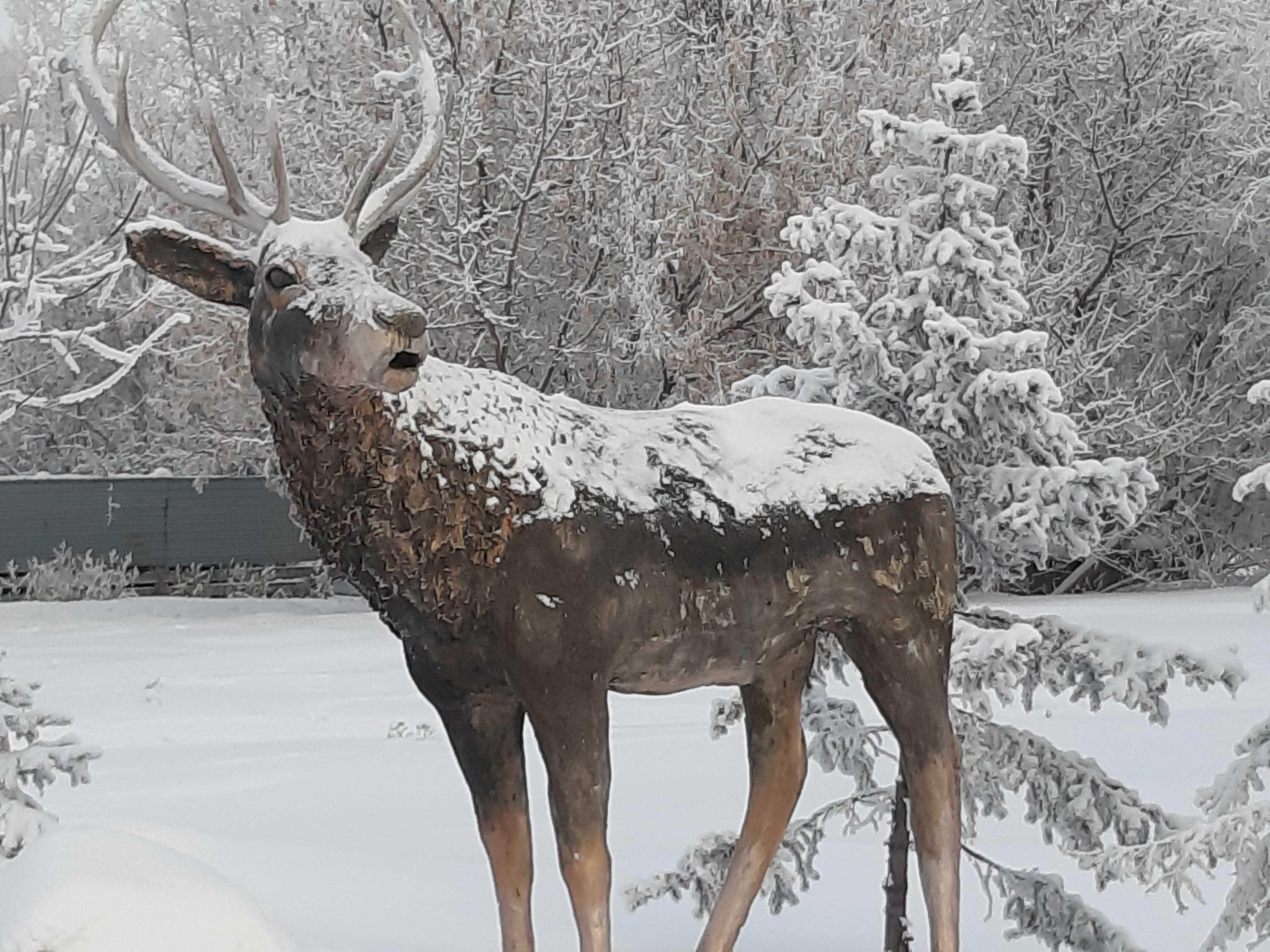 Фото Усолье
