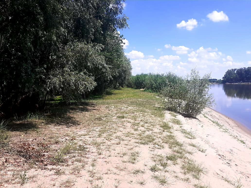 Фото База Звезда