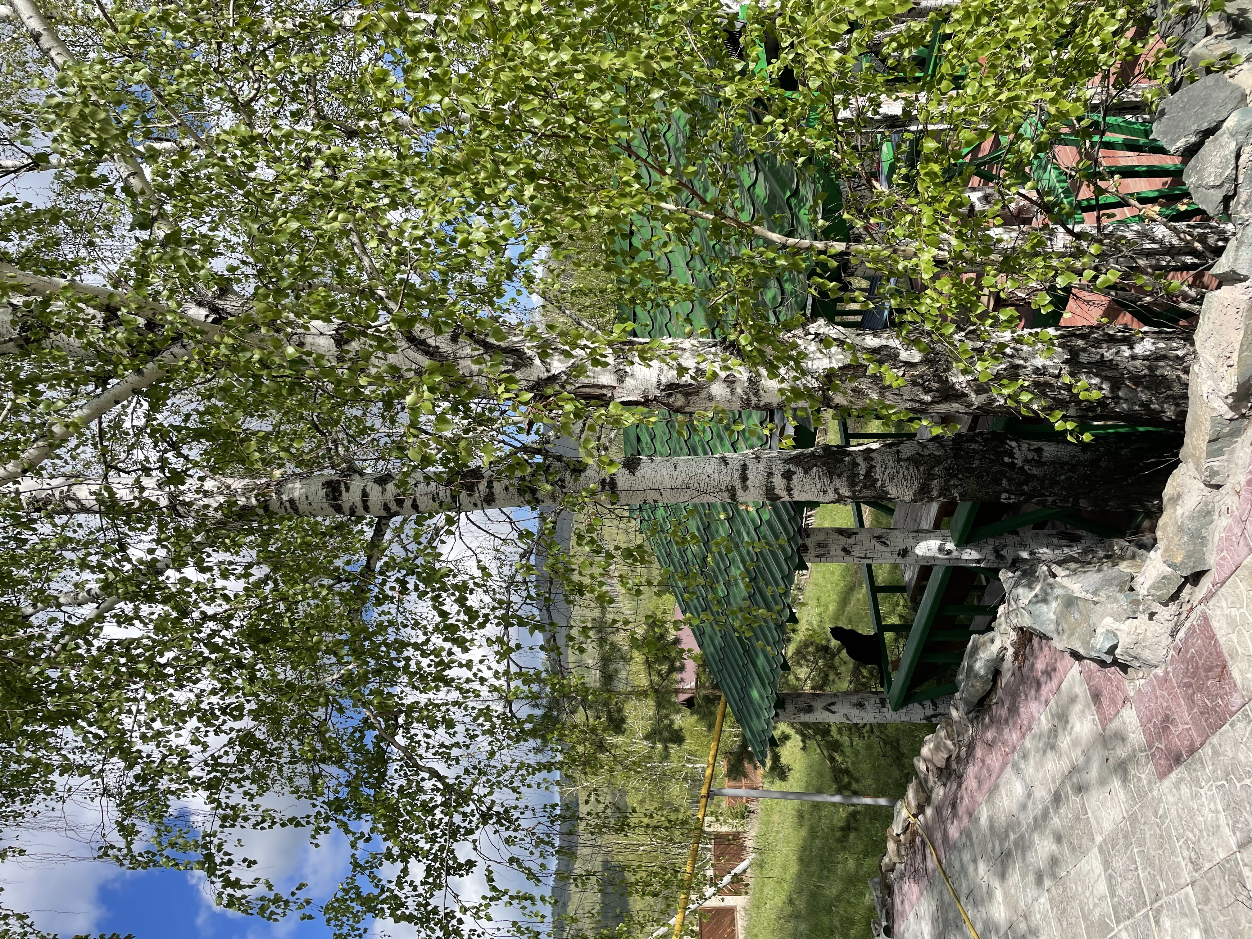 Фото Теремок в горах