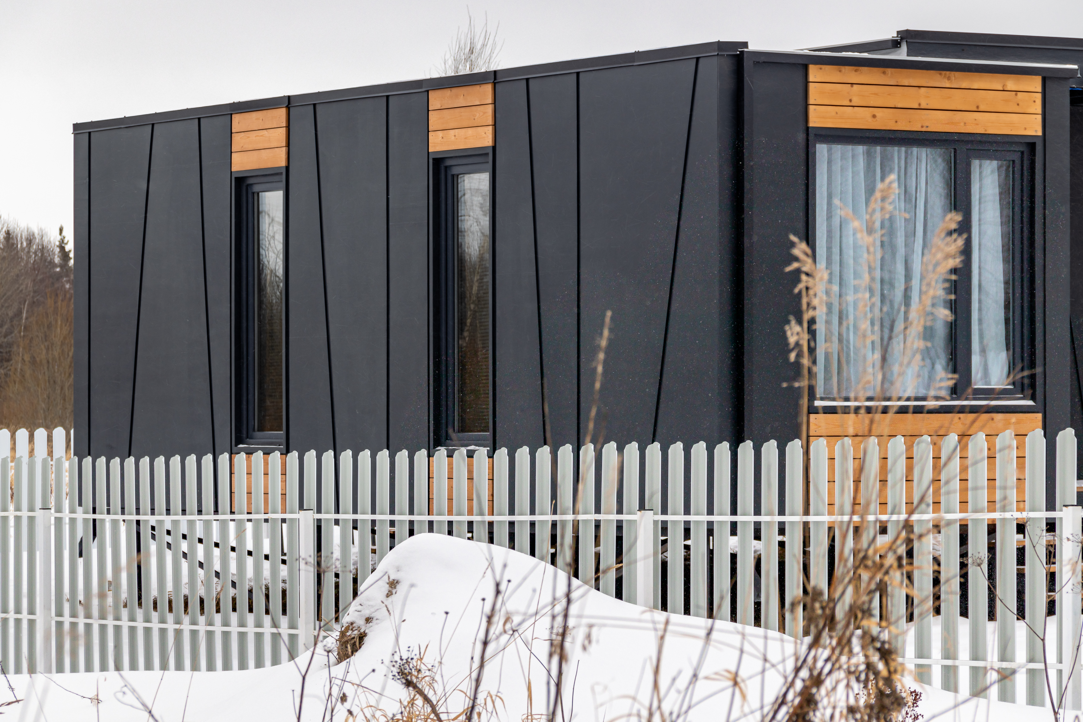 Фото Зеленый лес