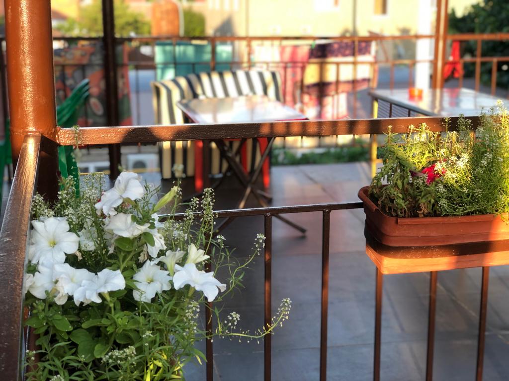 Фото Золотые Пески