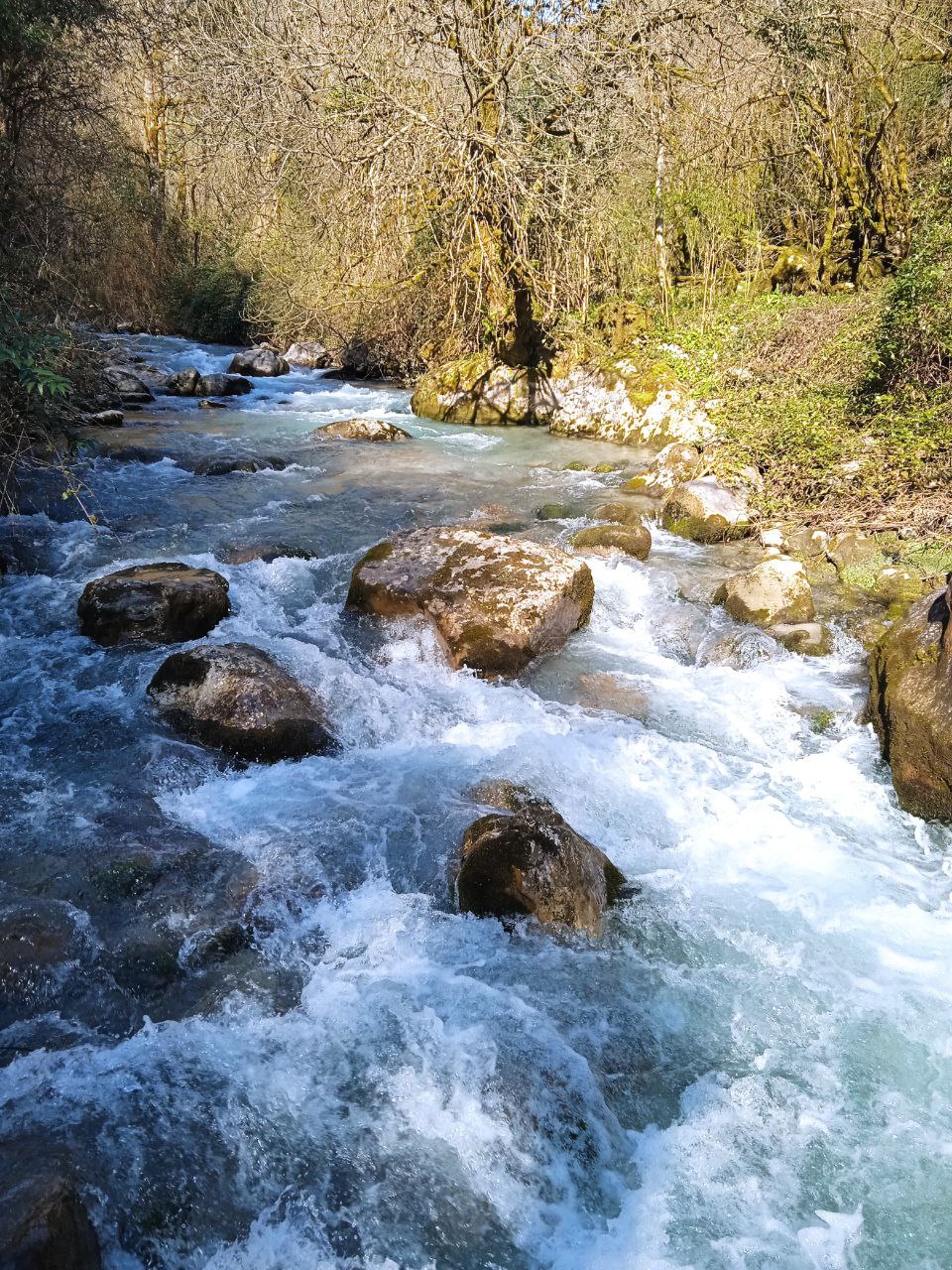 Фото Жоэквара
