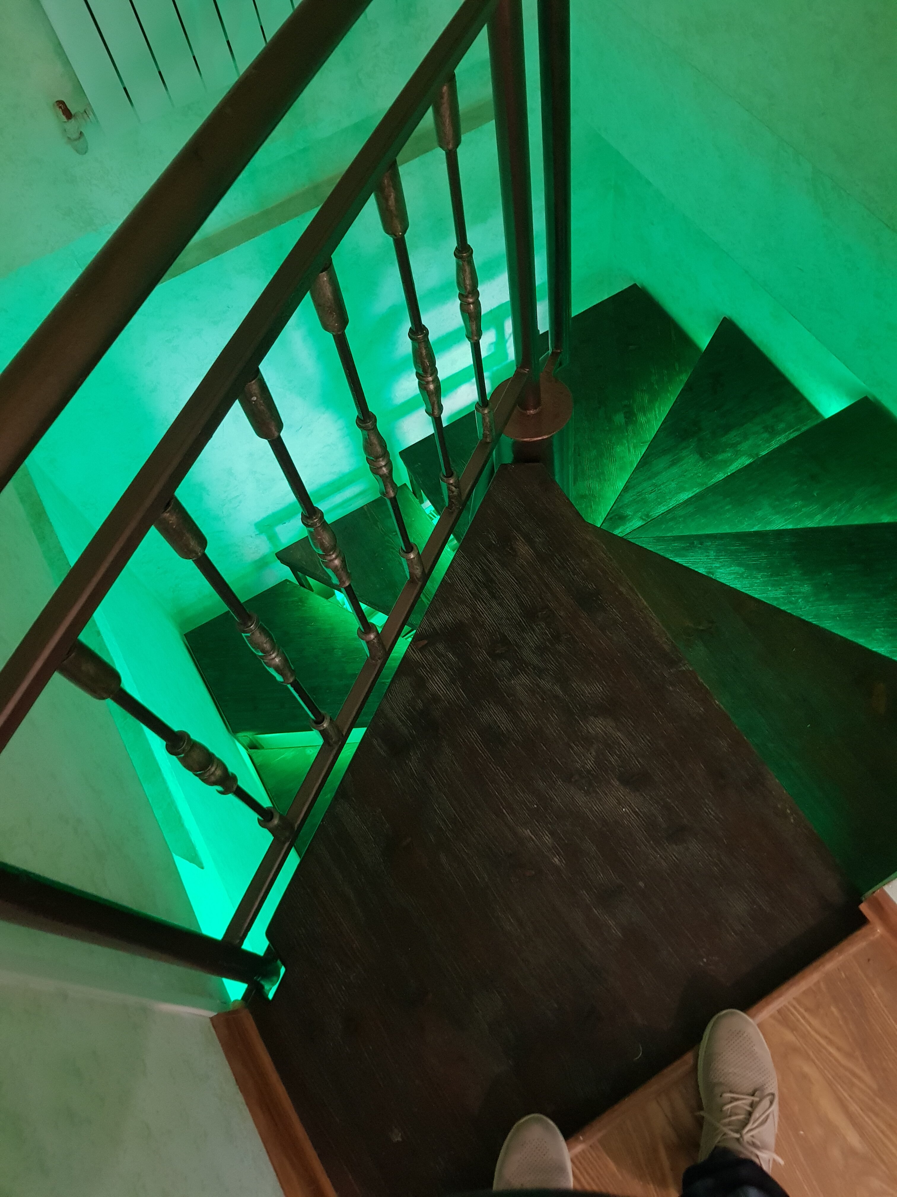 Фото Золотой Гусь