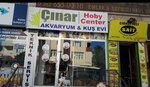 Çınar Pet Shop & Hobi Center (Kocaeli, İstasyon Cad., 419), evcil hayvanlar için ürünler  Darıca'dan