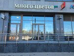 Mnogo tsvetov (Entuziastov Boulevard, 2), flower shop