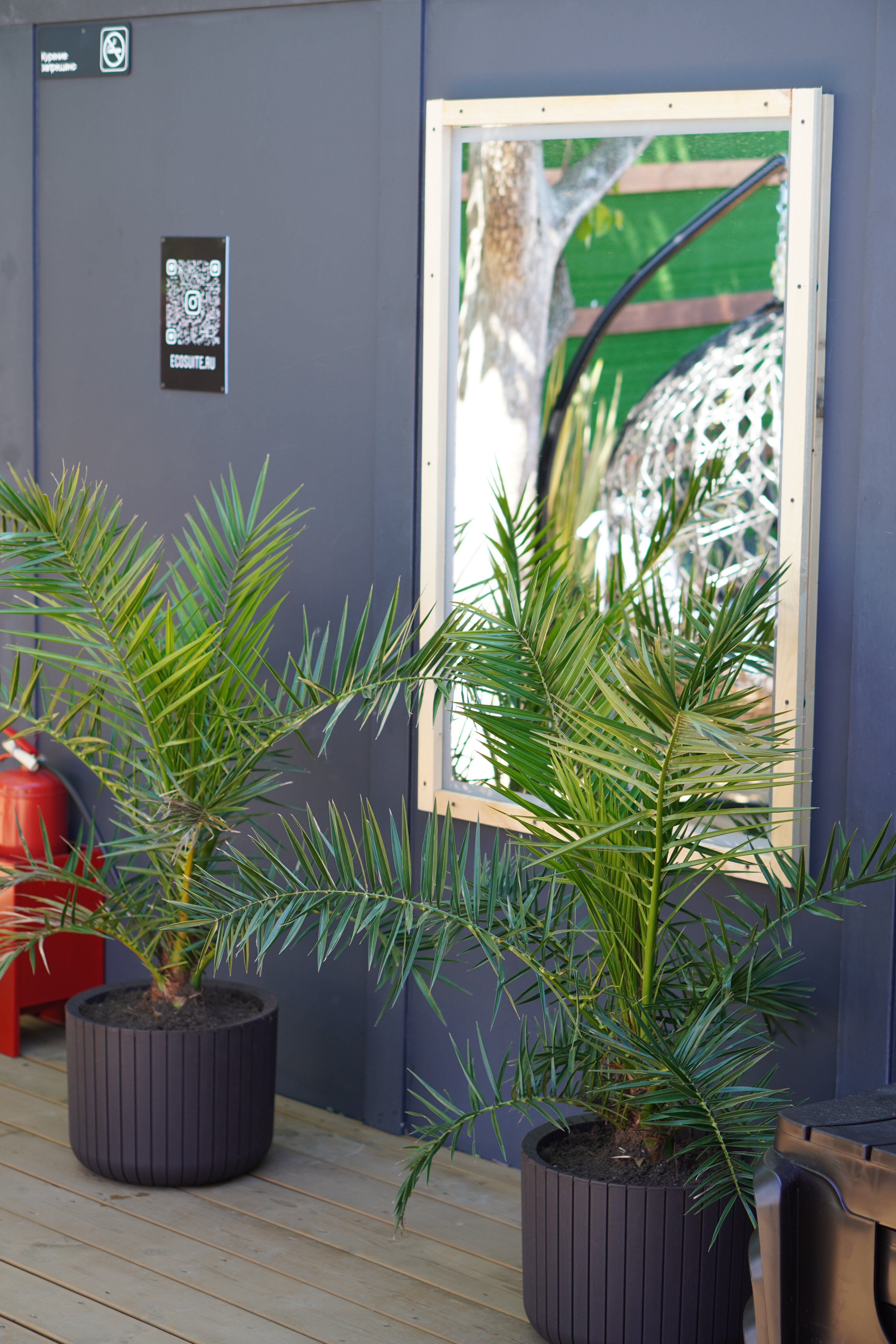 Фото EcoSuite Family