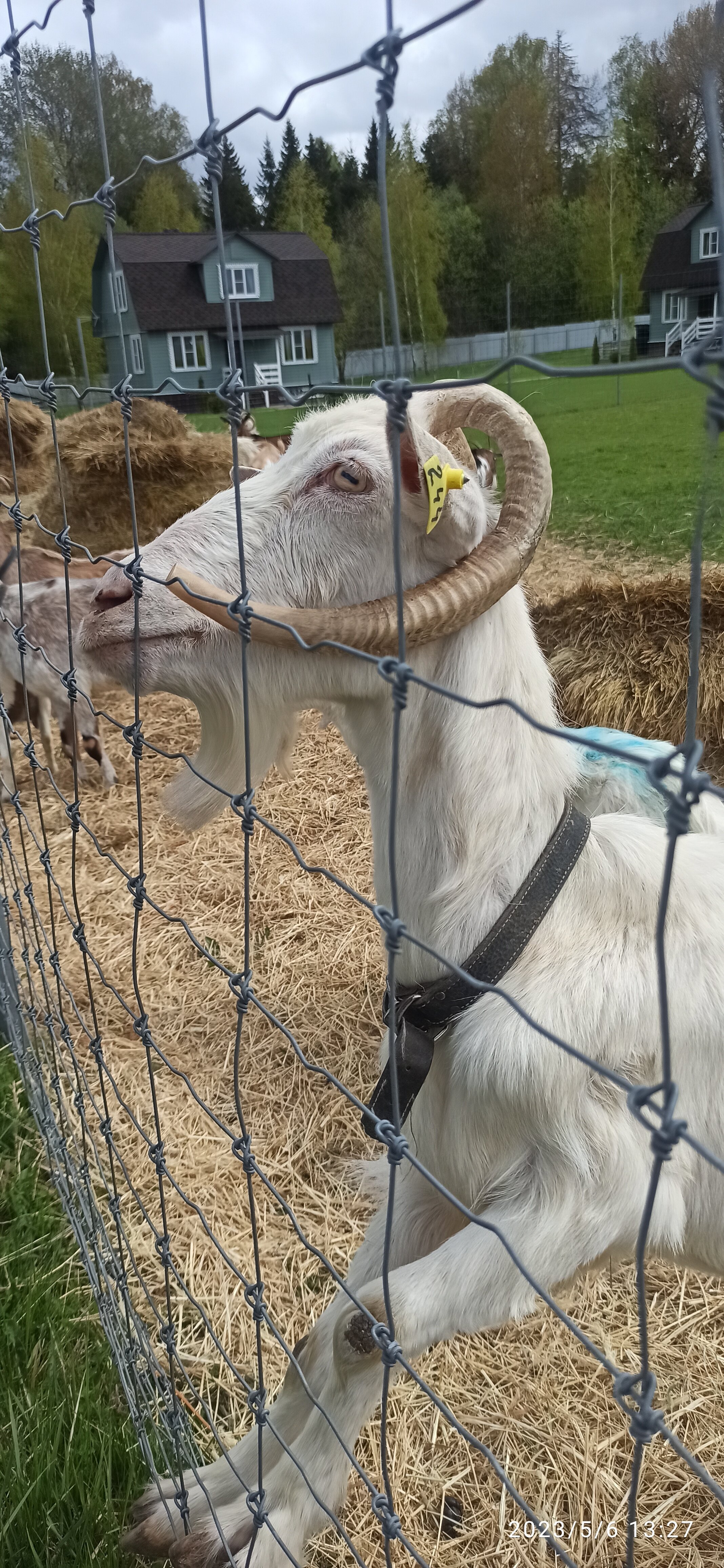 Фото Экоферма Александровский спас