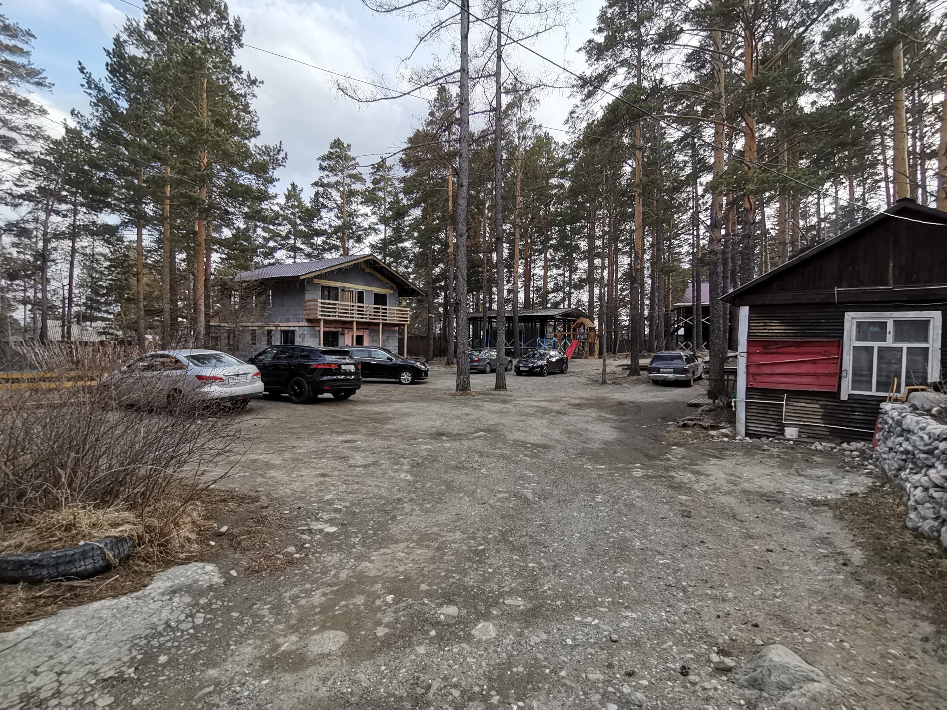 Фото Аршанский бор