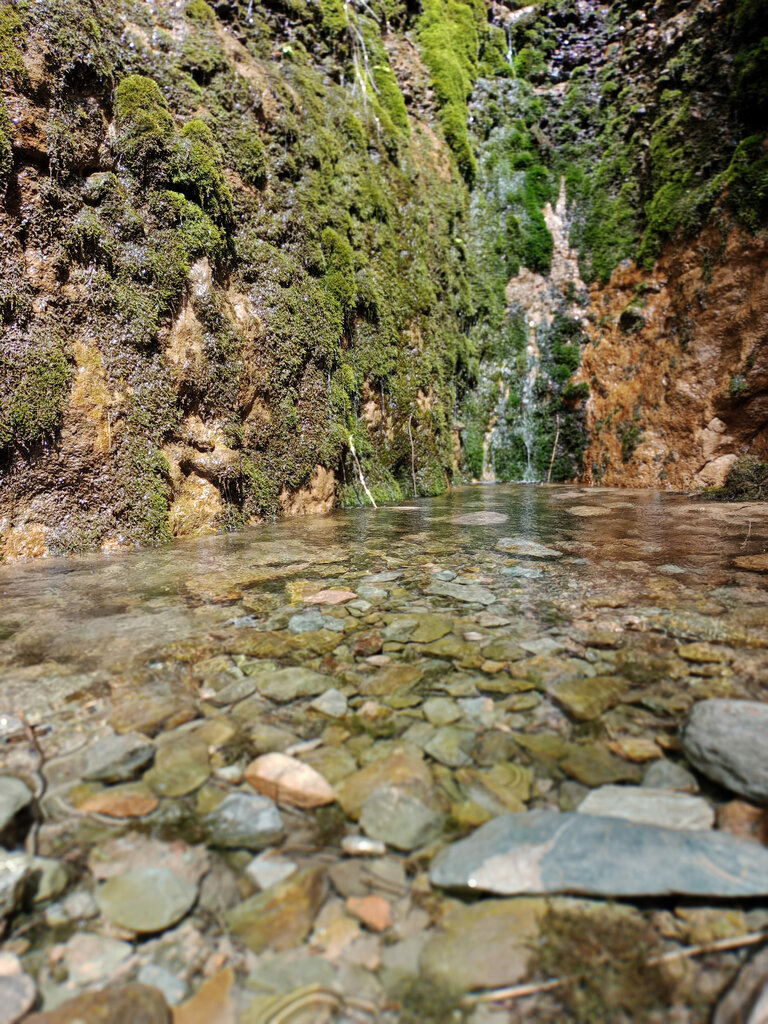 Landmark, attraction Tamshybulak Spring, Jetısu oblysy, photo