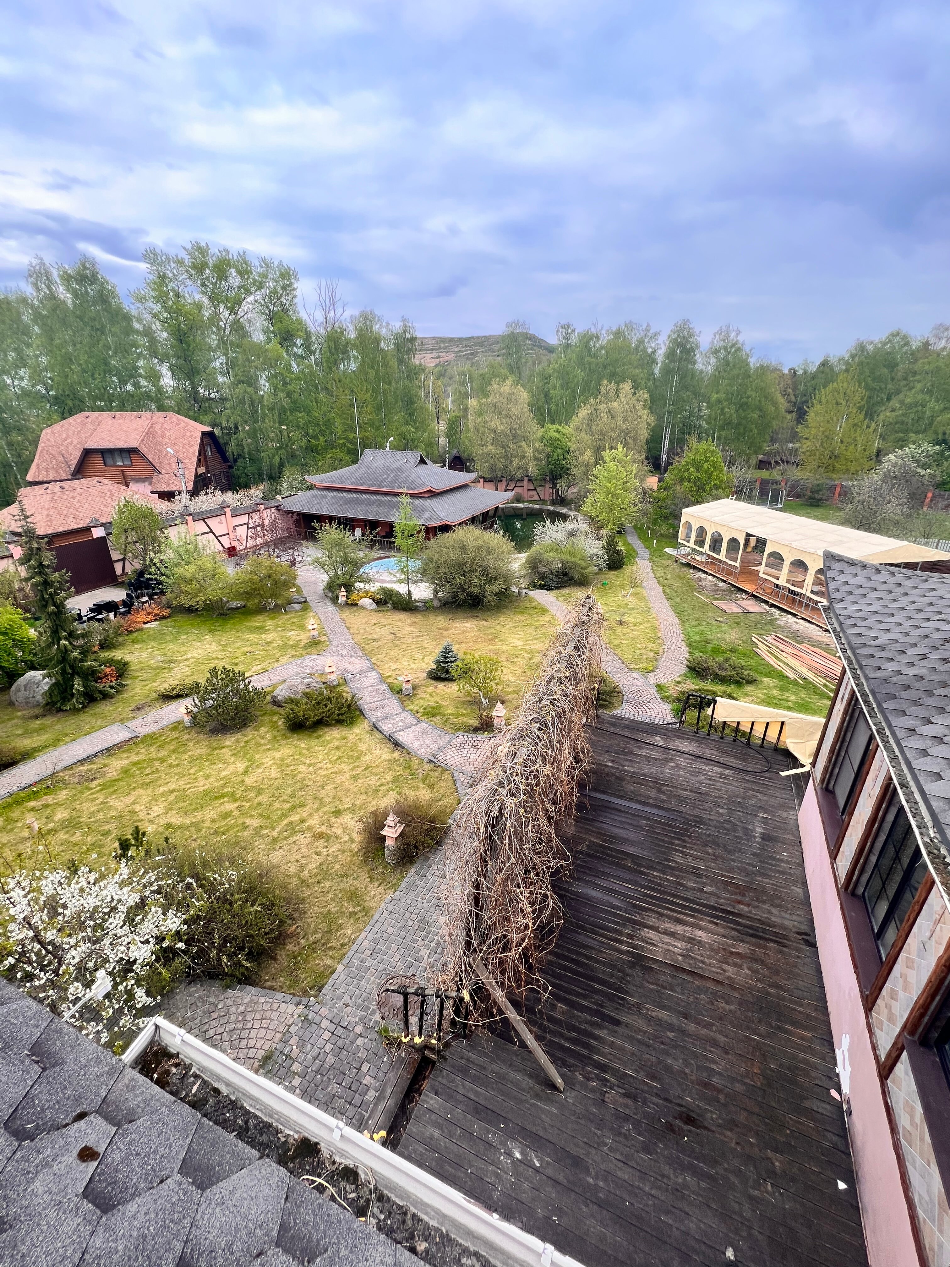 Фото Чайна Таун