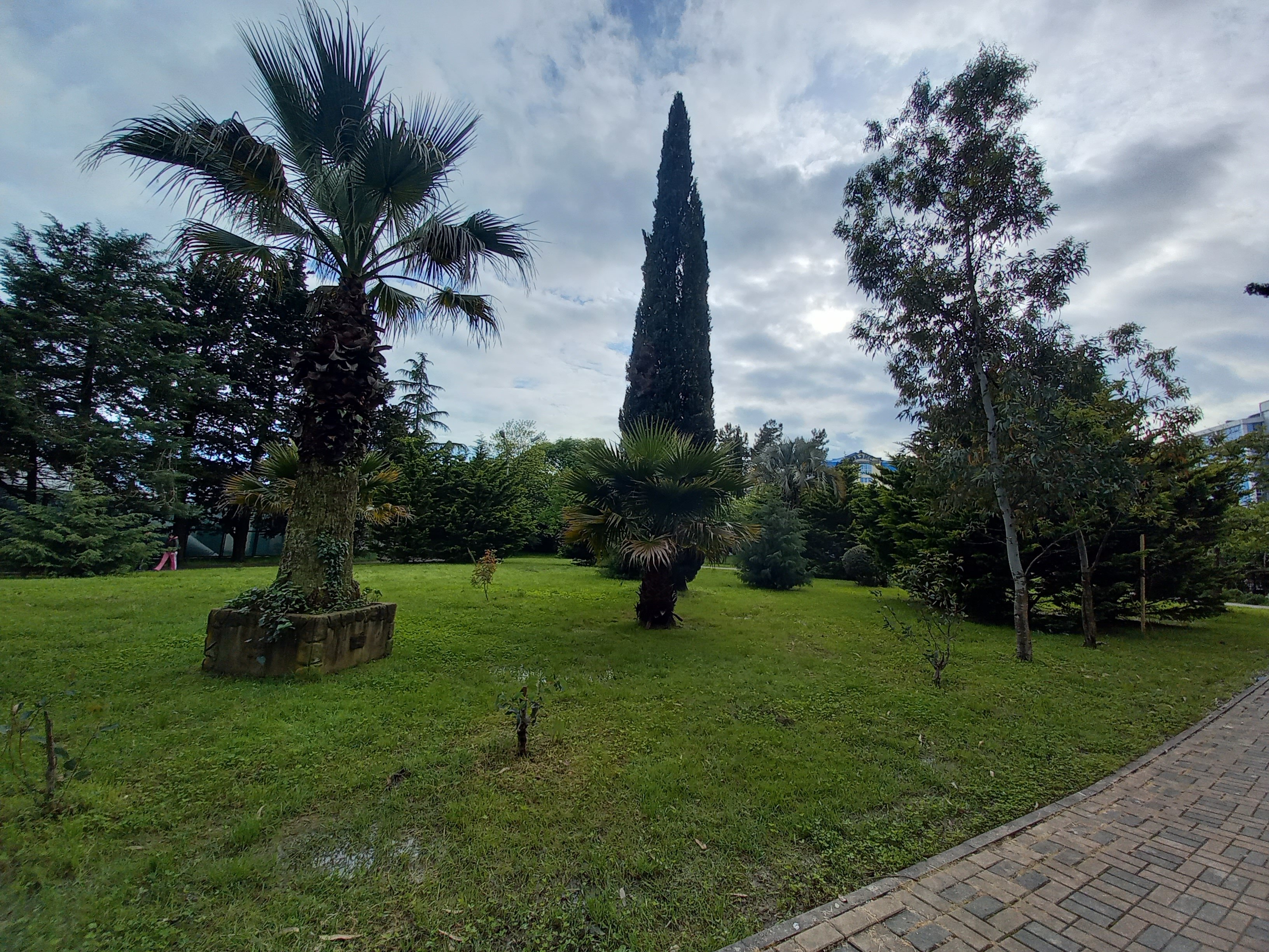 Фото Айвори