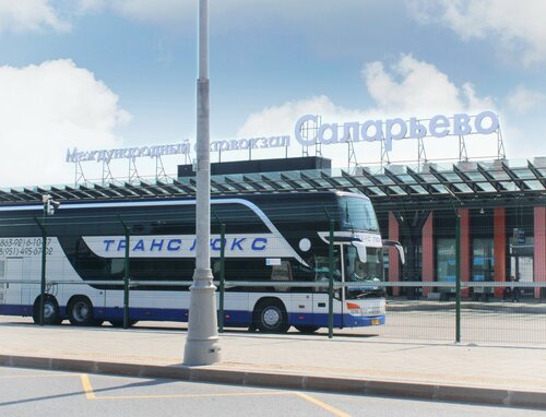 Онлайн порно: шеңбердегі сперматозоидтар