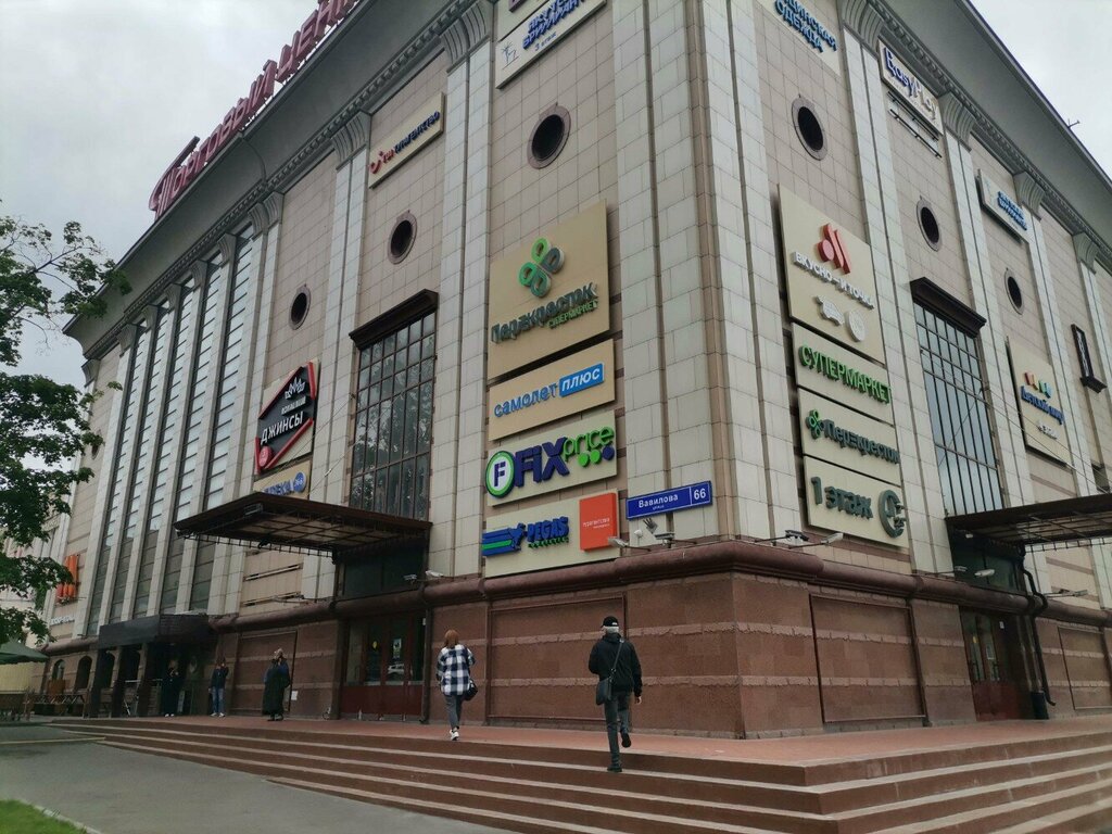 Contact lenses Linzy Tut, Moscow, photo