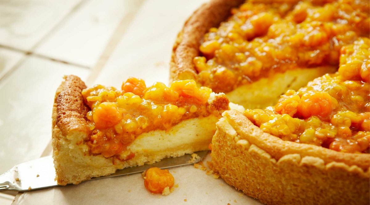 Фото Мезенский берег