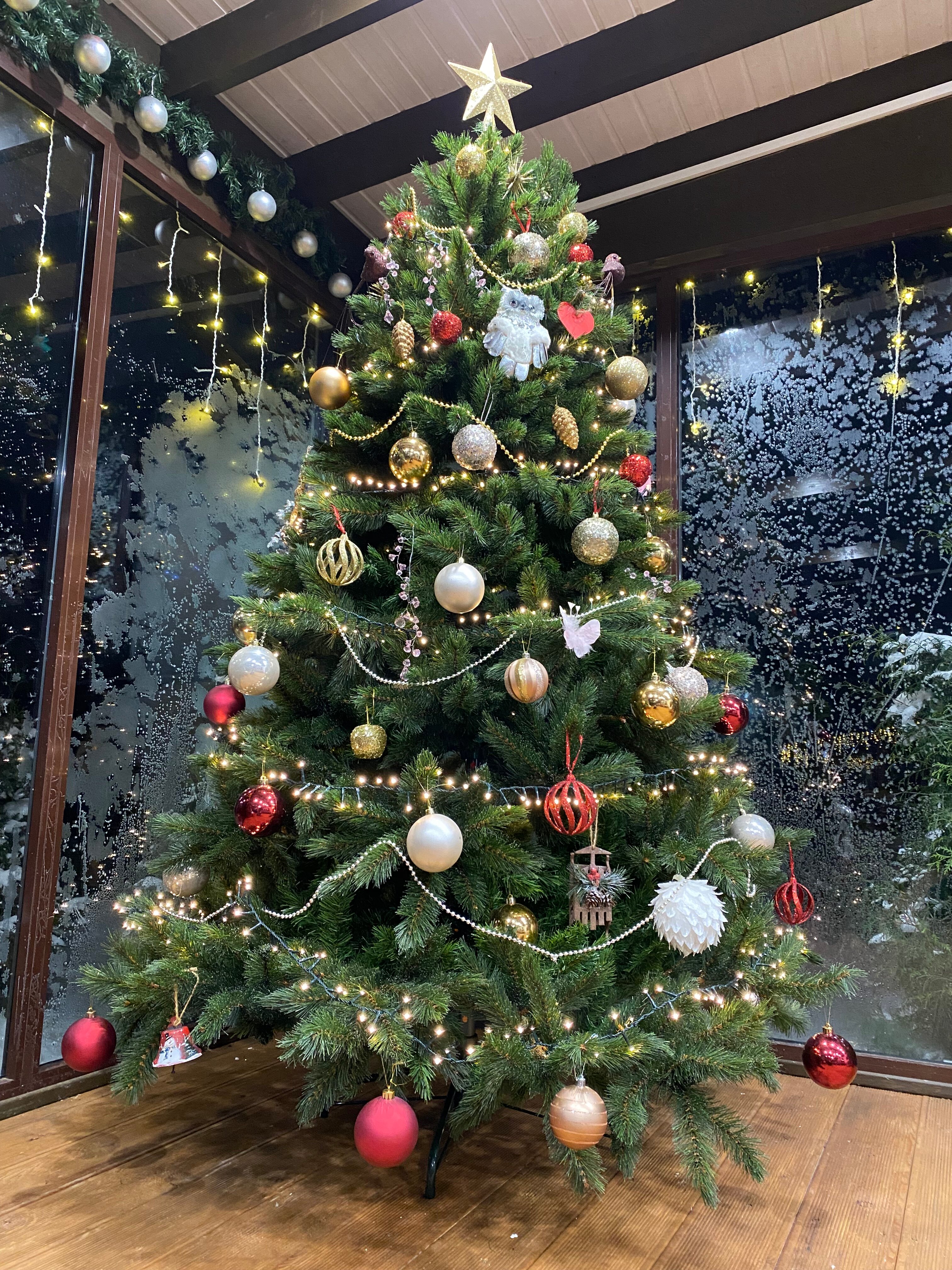 Фото Метелица