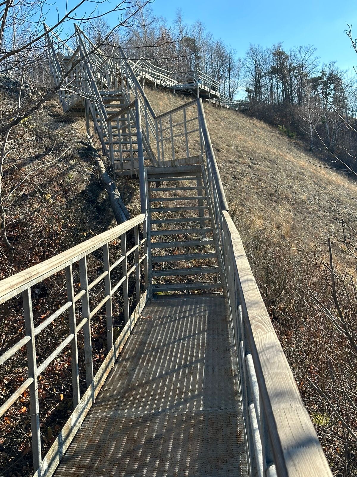 Фото Зольное Вилладж