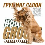 Holy Groom (Воскресенский пер., 27А, Калуга), зоосалон, зоопарикмахерская в Калуге