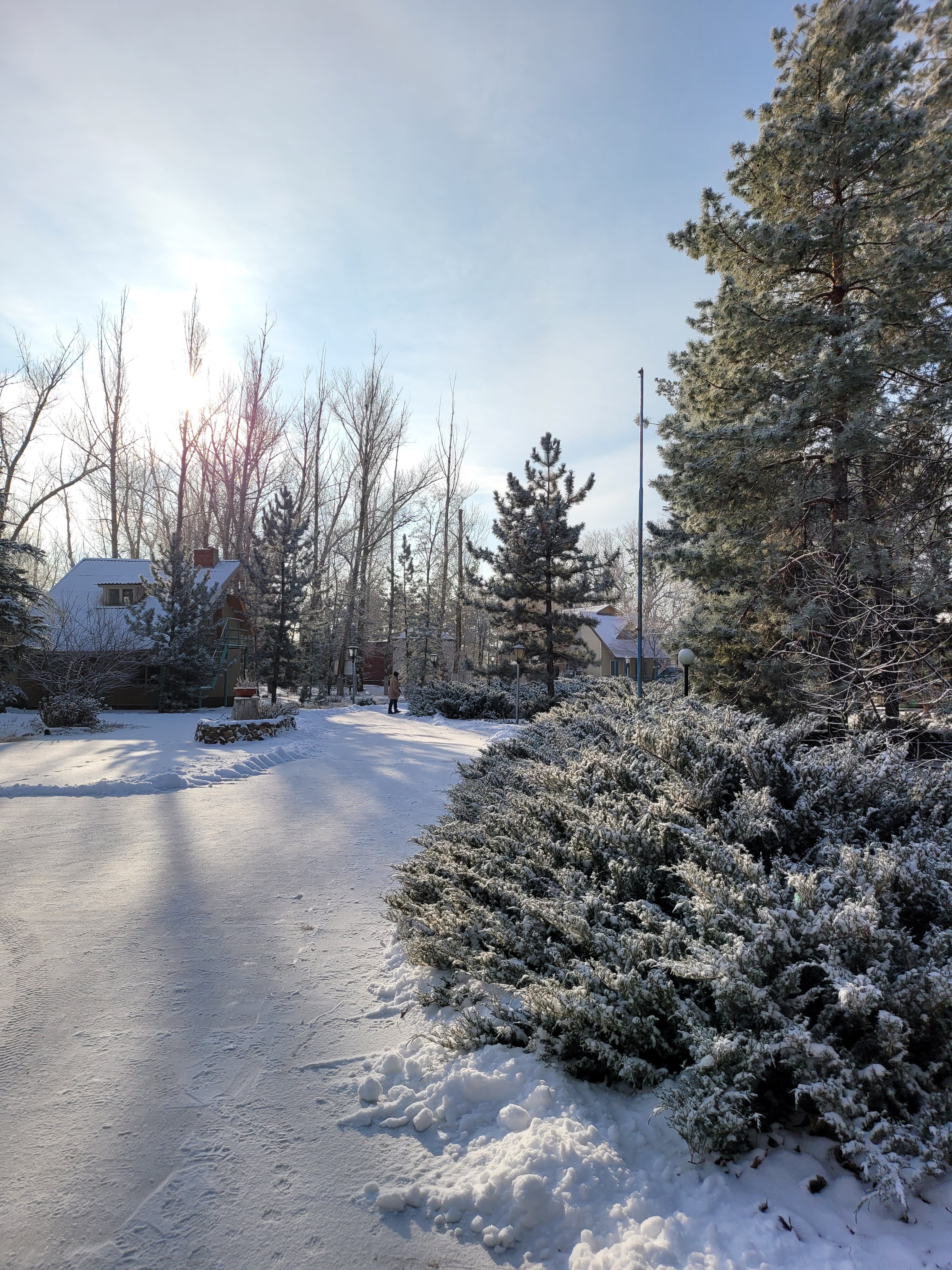 Фото Ветерок