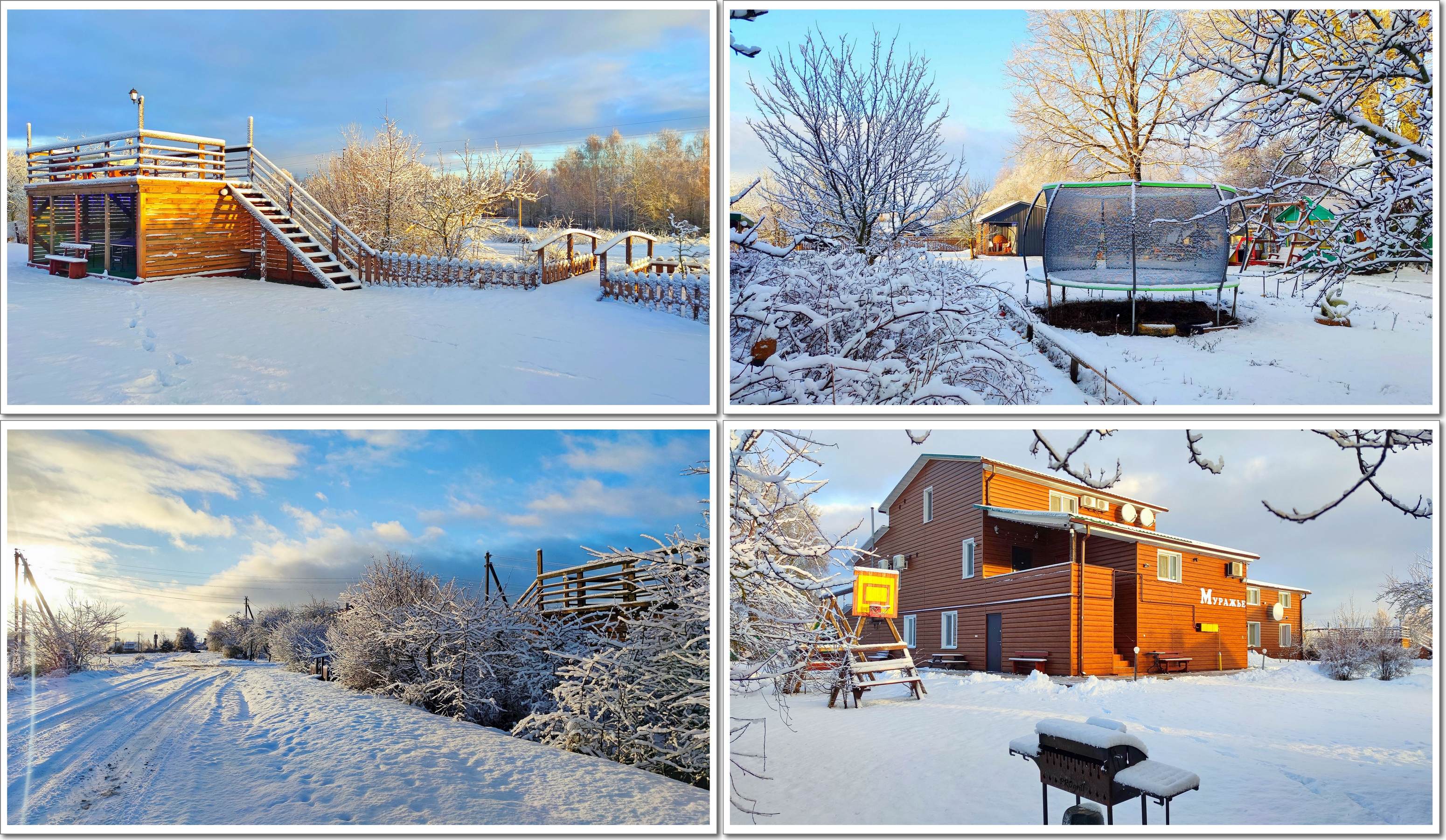 Фото Муражье