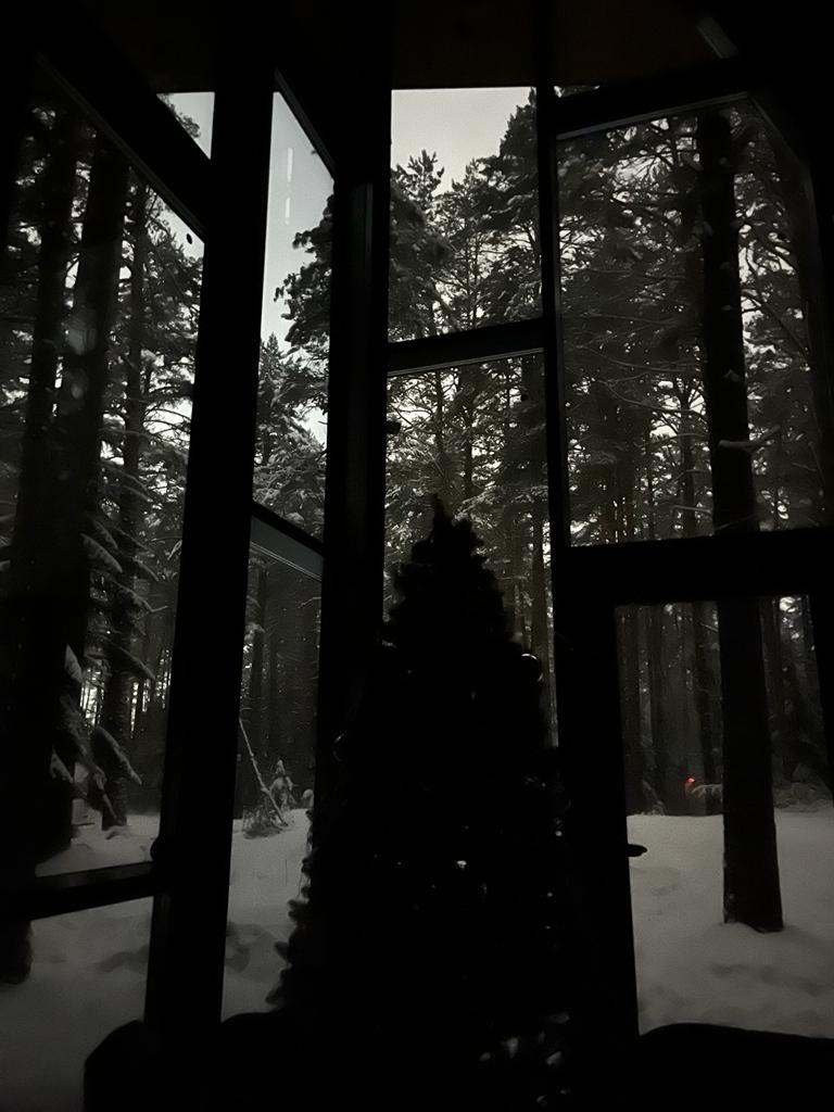 Фото Seliger Soul