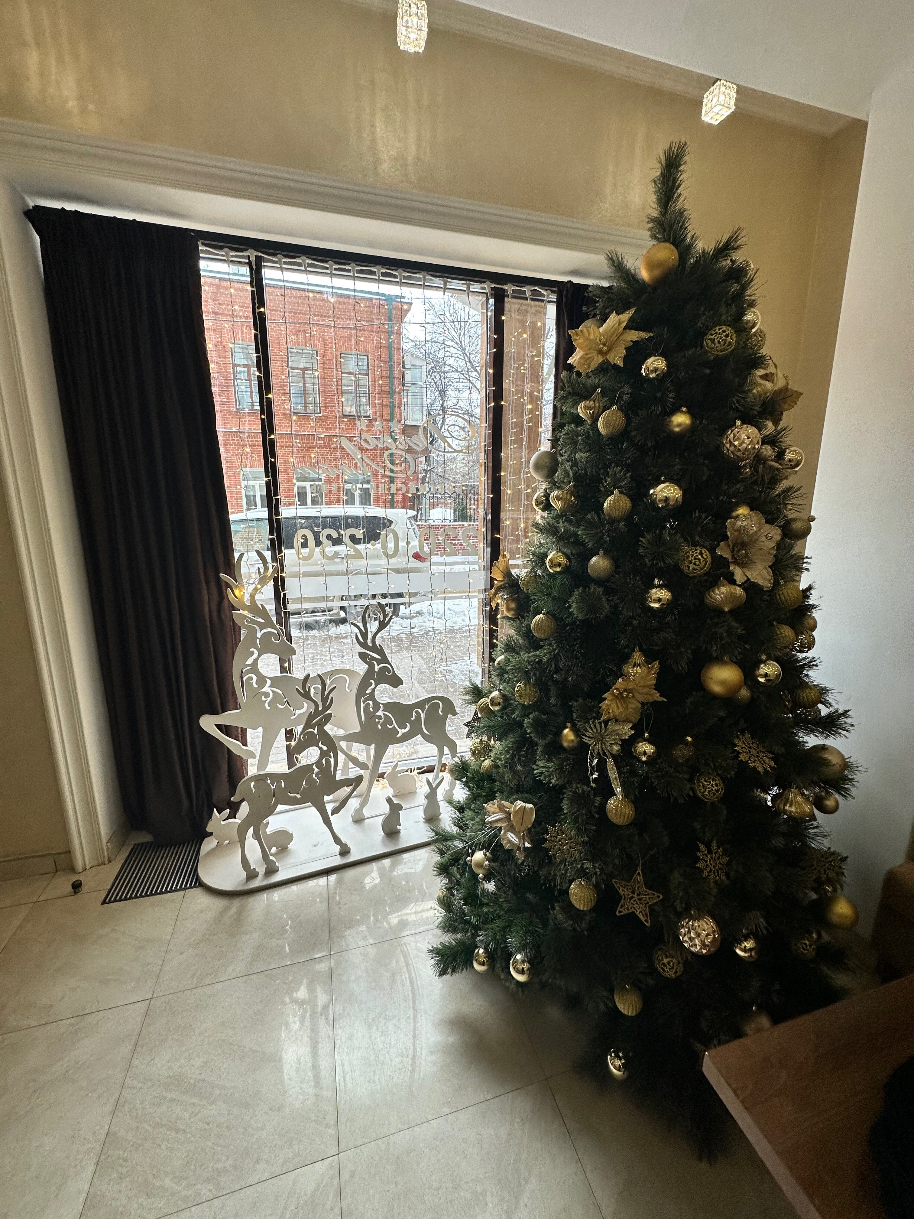 Фото Дегас Лайт