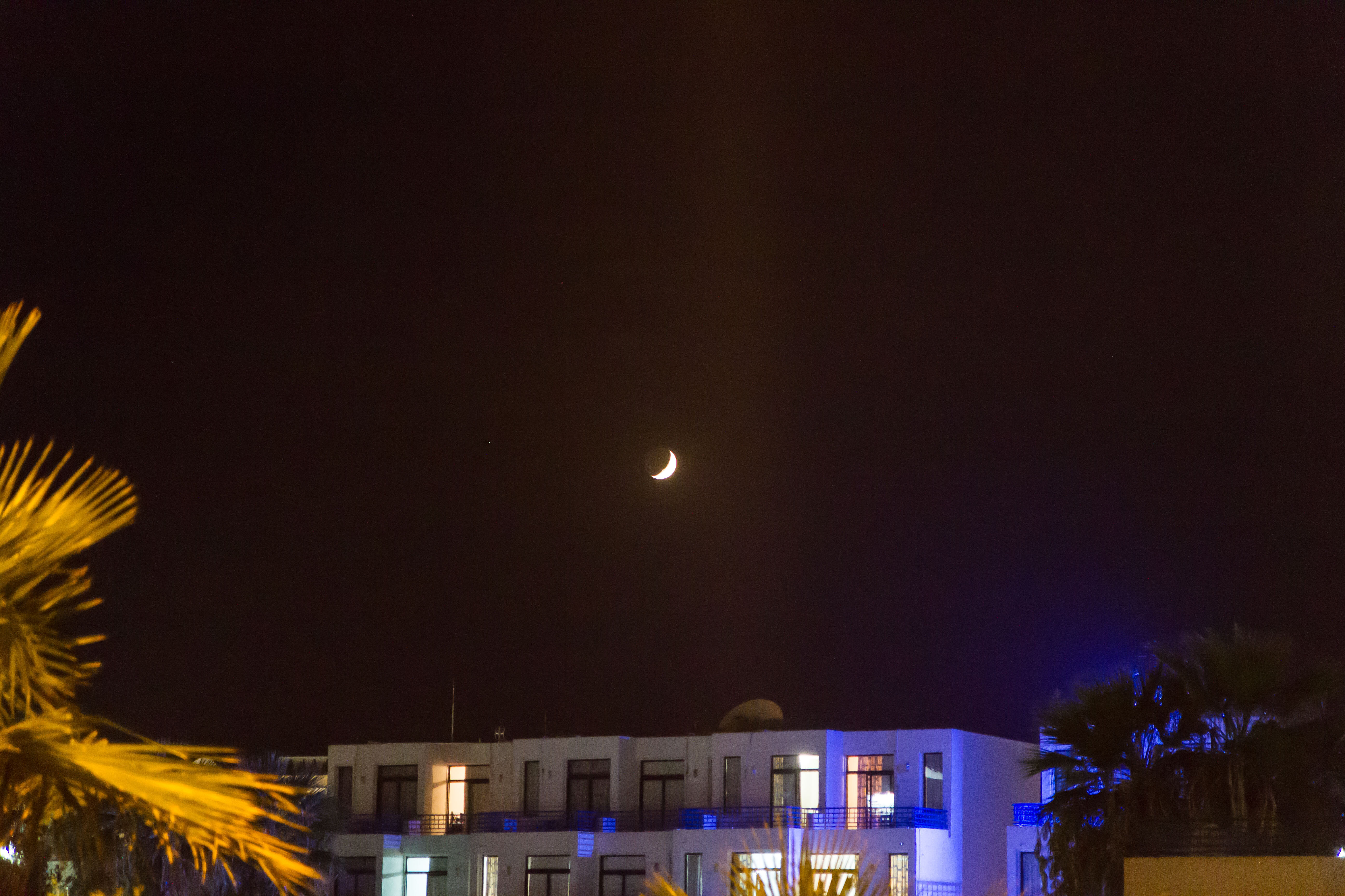 Фото Nestor Hotel