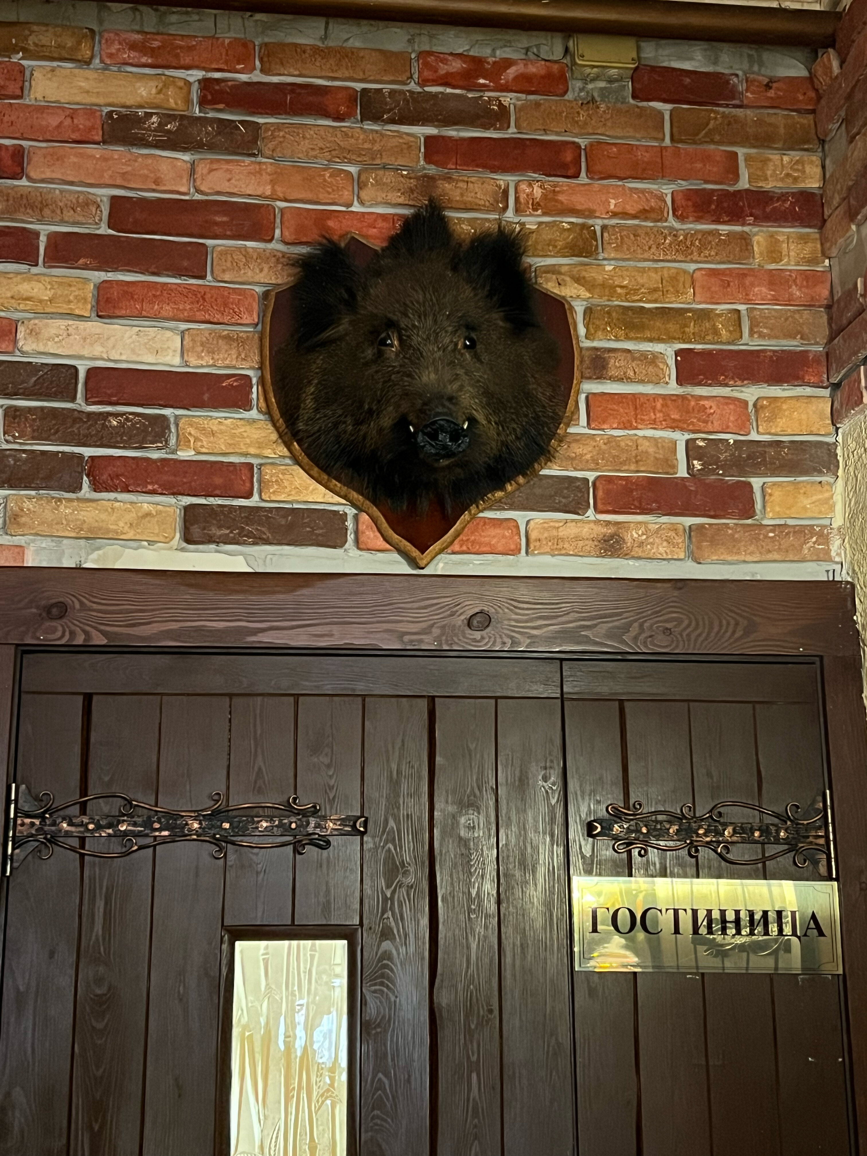 Фото Лесная сказка