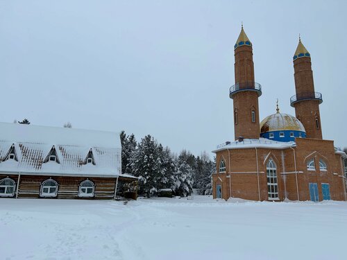 Достопримечательность Городище Искер, Тюменская область, фото