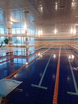 Swimming pool (Verkhneposadskoye shosse, 2с1), piscina