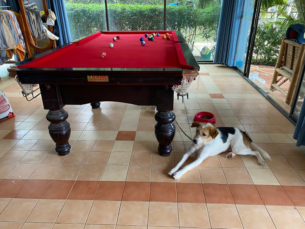 Cafe Fat Cat, Earth, photo