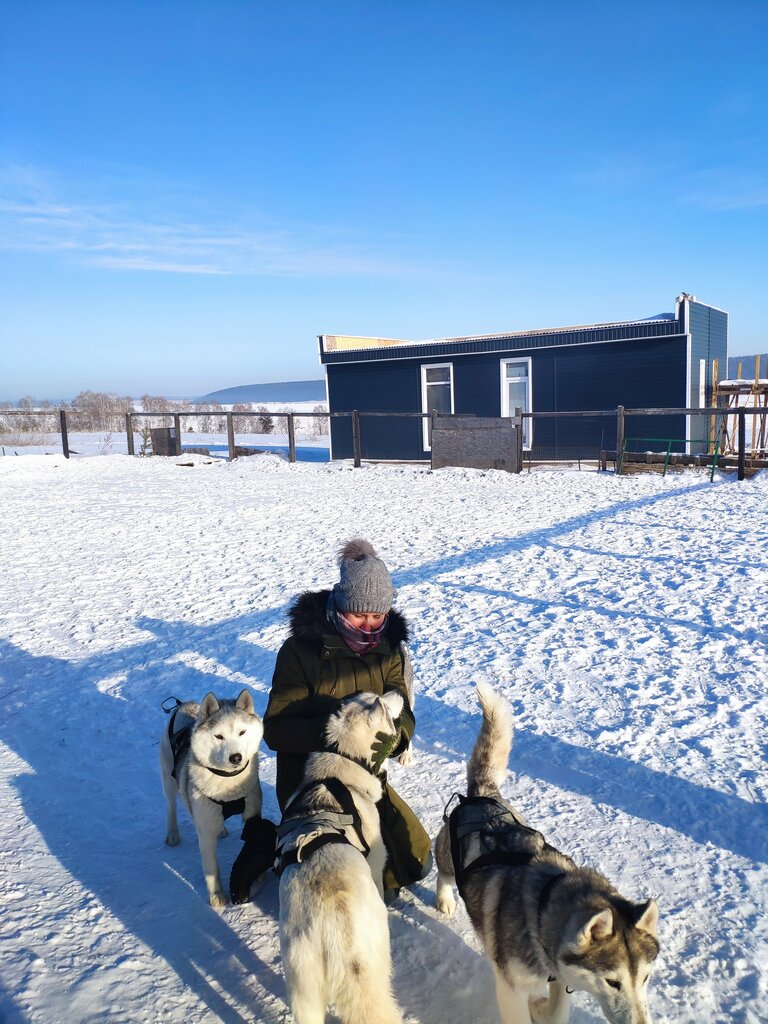 Vivero de animales Arrvortex Sibirian Husky Cennel, , foto