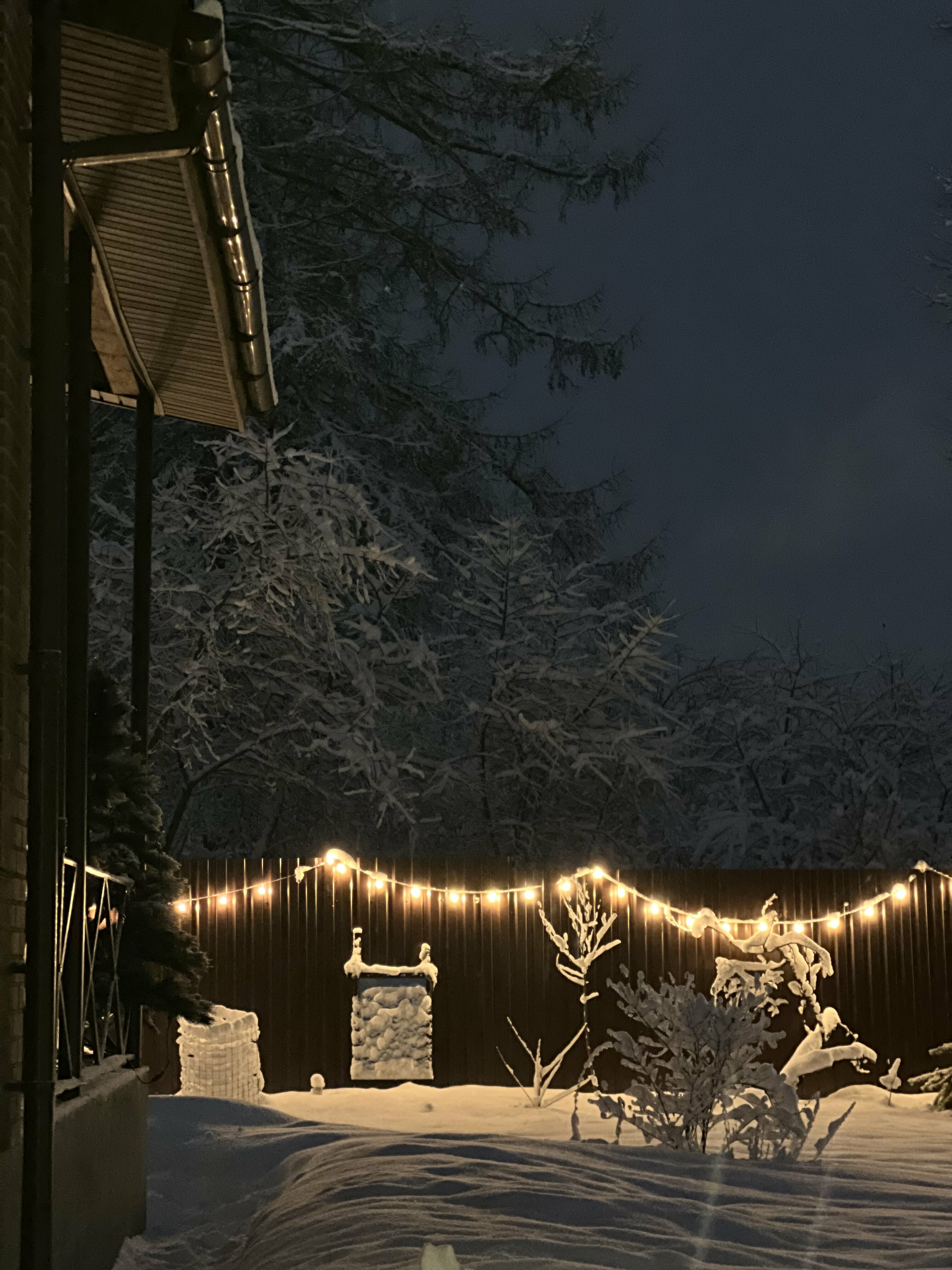 Фото Four Lions House