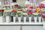 Цветочная база (Dmitriya Ulyanova Street, 16к1), flower shop