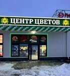 Centr cvetov s odnoj cenoj (Geroev Donbassa Avenue, 10А) ، محل زهور