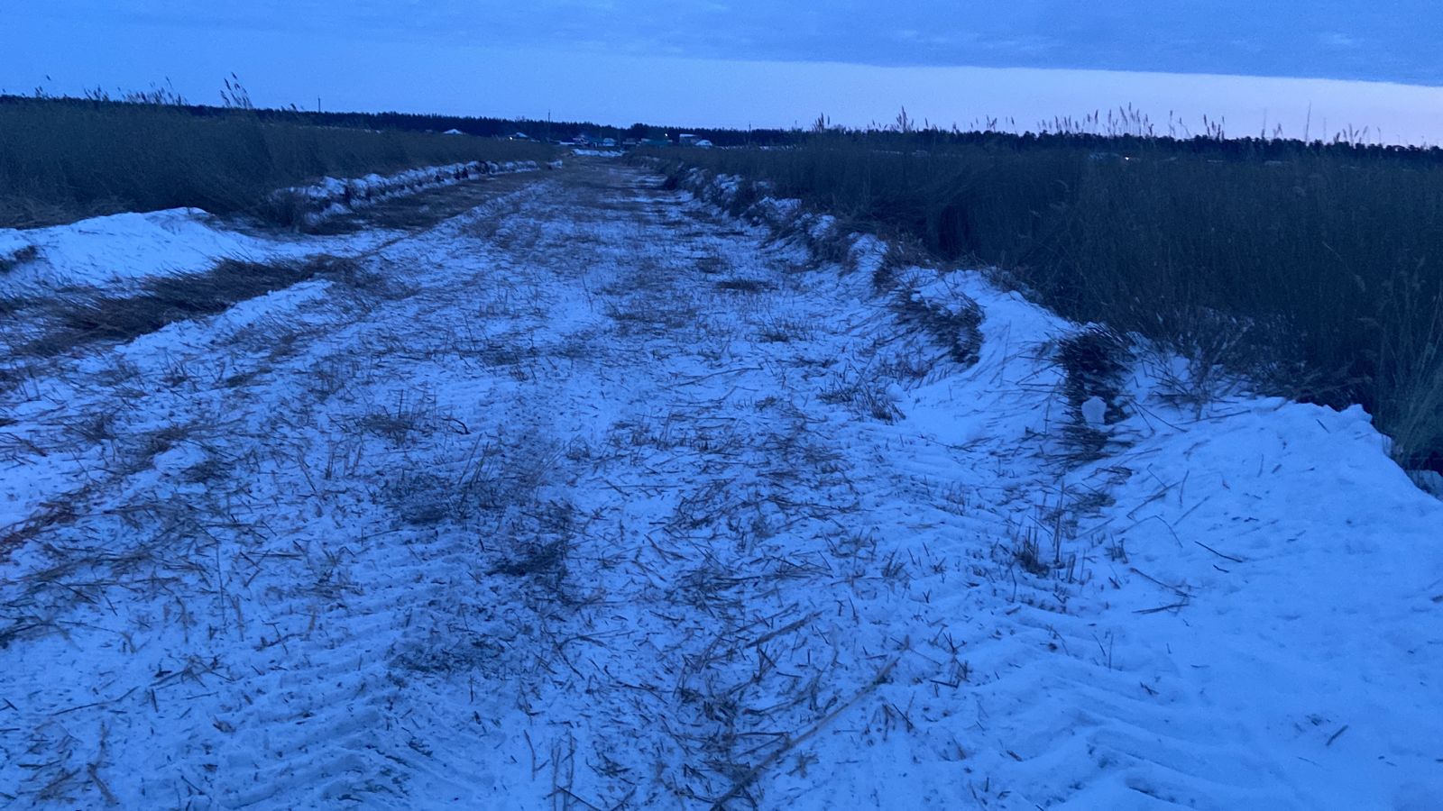 Фото Усадьба Гусли