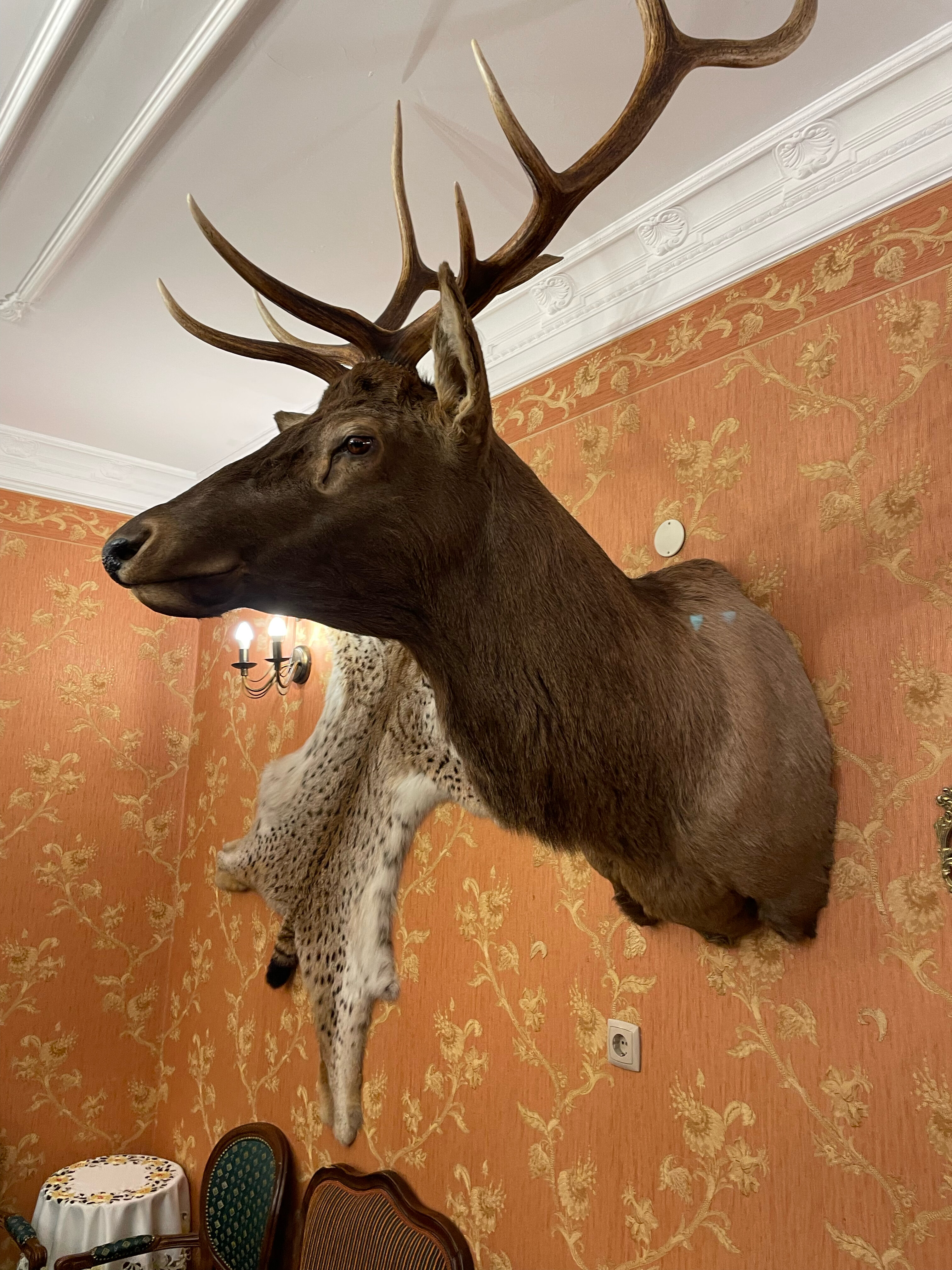 Фото Купеческий