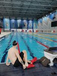 Elite Swim Club (ул. Лужники, 24, стр. 4), школа плавания в Москве