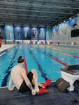 Elite Swim Club (Luzhnetskaya Embankment, 24с4) ، مدرسة السباحة