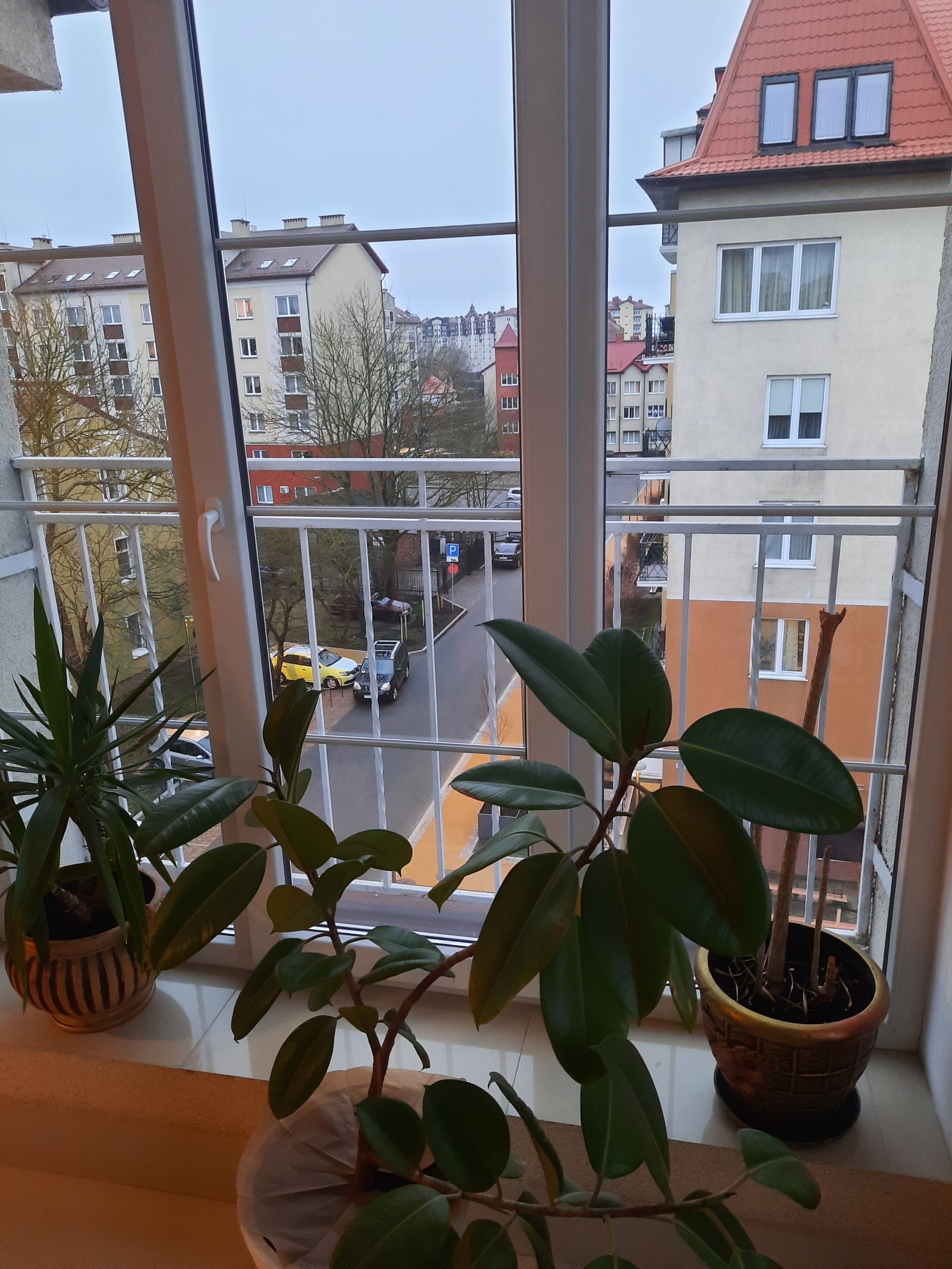 Фото Элиза ИНН